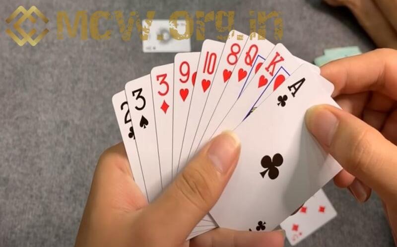 Cây chốt hạ: Con át chủ bài mang đến chiến thắng bất ngờ 1 cây chốt hạ